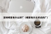 深圳嶂背有什么好厂（嶂背有什么好点的厂）