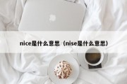 nice是什么意思（nise是什么意思）