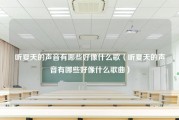 听夏天的声音有哪些好像什么歌（听夏天的声音有哪些好像什么歌曲）