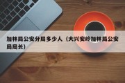 加林局公安分局多少人（大兴安岭加林局公安局局长）