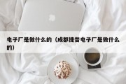 电子厂是做什么的（成都捷普电子厂是做什么的）