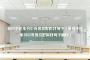 草房子这本书中有哪些好词好句子（草房子这本书中有哪些好词好句子摘抄）