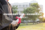 桂林有哪些美景作文400字（桂林有哪些美景作文400字左右）