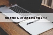 海东青是什么（将进酒里的海东青是什么）