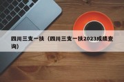 四川三支一扶（四川三支一扶2023成绩查询）