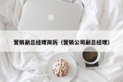 营销副总经理简历（营销公司副总经理）