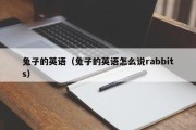 兔子的英语（兔子用英语怎么说rabbits）