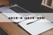 山东三支一扶（山东三支一扶官网）