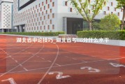 湖北省申论技巧_湖北省考145分什么水平