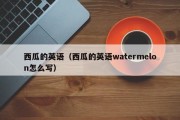 西瓜的英语（西瓜的英语watermelon怎么写）