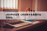 2016年什么年（2016年什么年属什么生肖年）