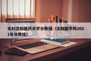 文科沈阳医药大学分数线（沈阳医学院2021年分数线）