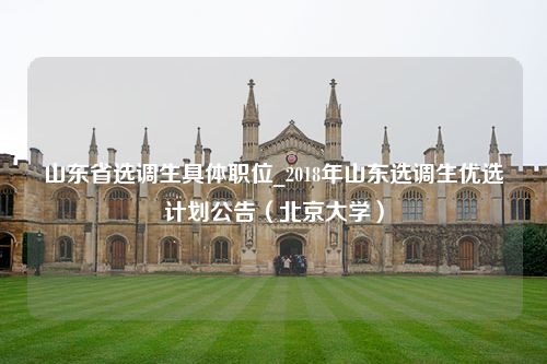 山东省选调生具体职位_2018年山东选调生优选计划公告（北京大学）