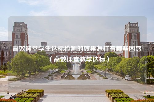 高效课堂学生达标检测的效果怎样有哪些困惑（高效课堂教学达标）