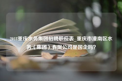 2018重庆水务集团招聘职位表_重庆市潼南区水务（集团）有限公司是国企吗？