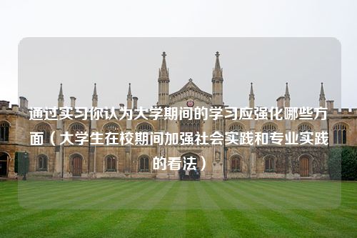 通过实习你认为大学期间的学习应强化哪些方面（大学生在校期间加强社会实践和专业实践的看法）